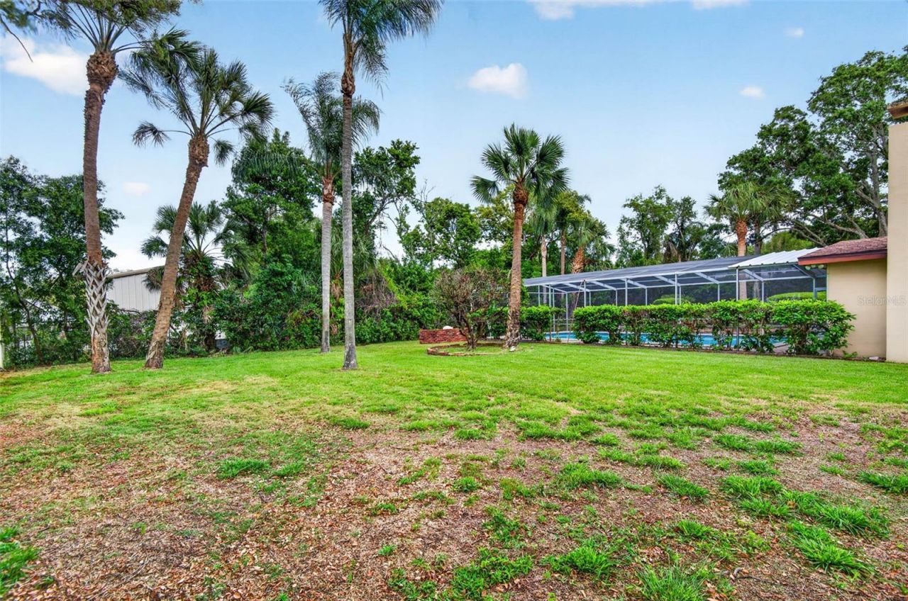 7 Eagle Lane, Palm Harbor, FL 34683 Photo