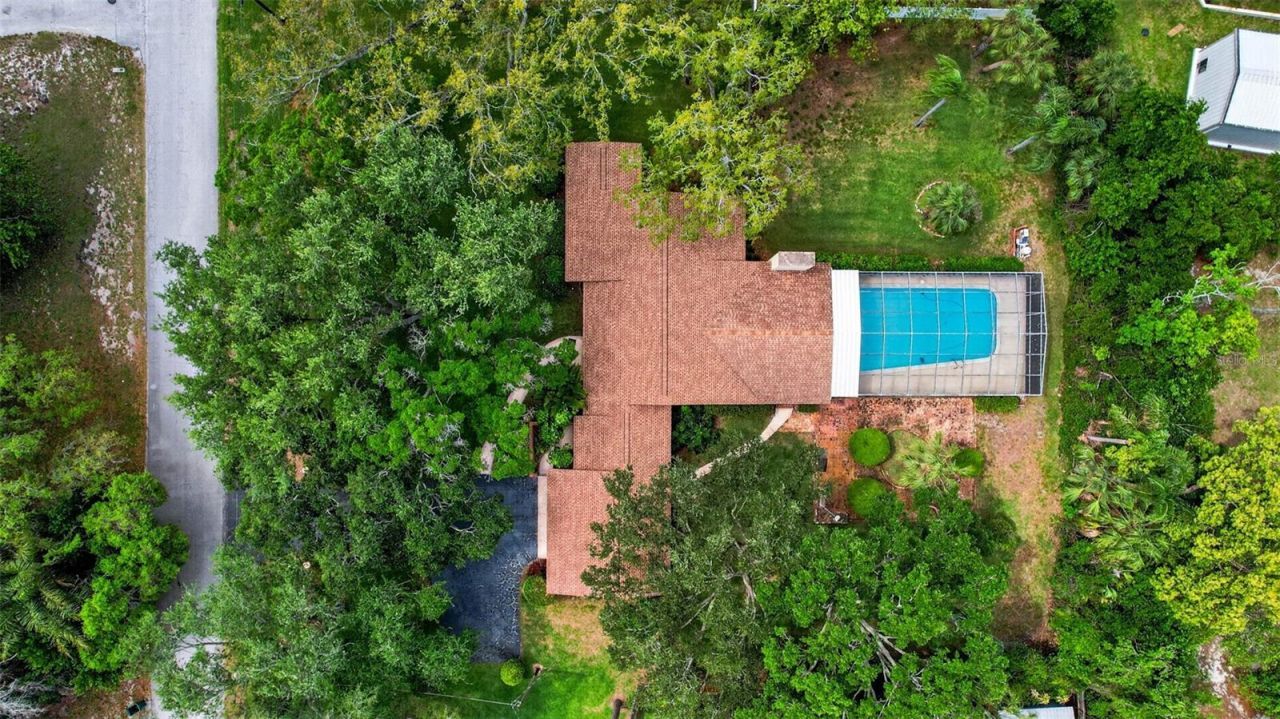 7 Eagle Lane, Palm Harbor, FL 34683 Photo