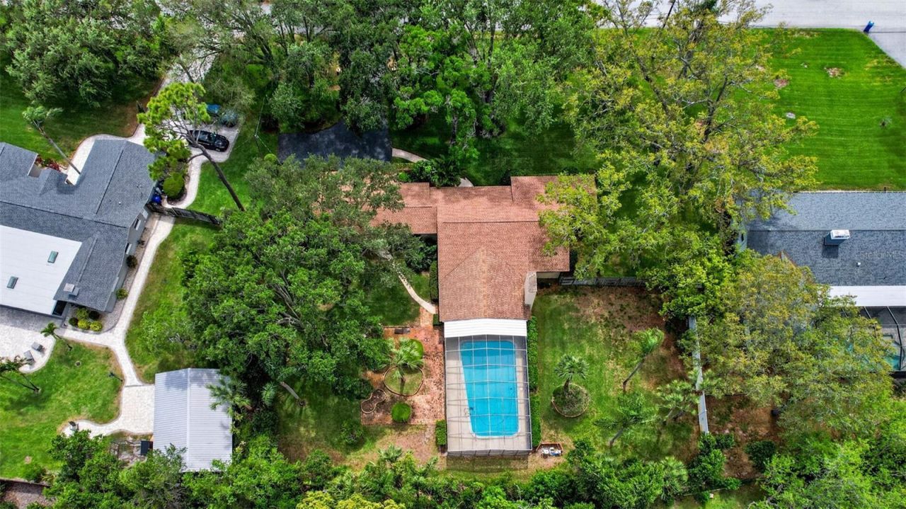 7 Eagle Lane, Palm Harbor, FL 34683 Photo