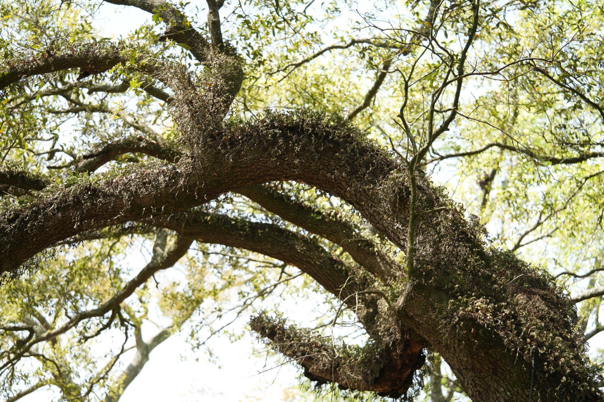 1168 Braddock Avenue Photo 34