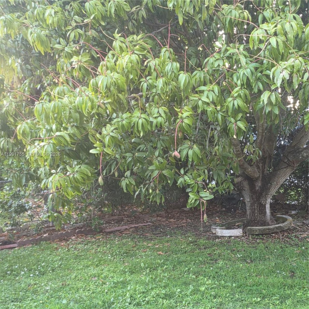 7104 SW 132nd Ct, Miami, FL 33183 Photo