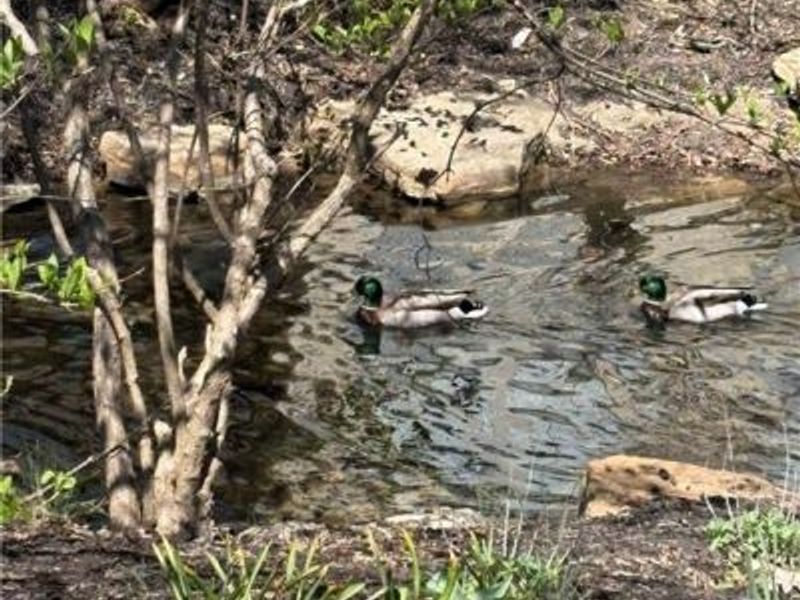 1377 Holes Creek Trace, Centerville, OH 45458 Photo 12