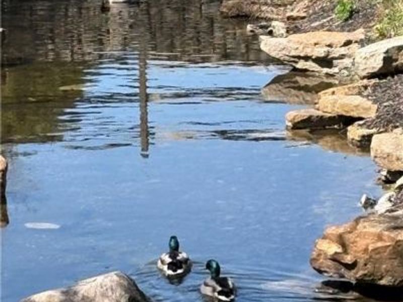 1377 Holes Creek Trace, Centerville, OH 45458 Photo 13