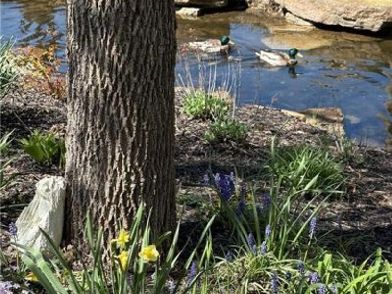 1377 Holes Creek Trace, Centerville, OH 45458 Photo 14