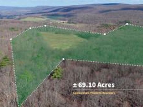 169 VIVIAN Lane, Catawissa, PA 17820