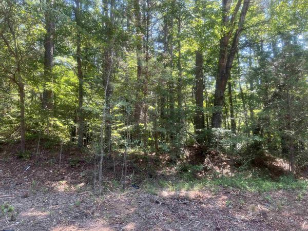 BIG SPRINGS RD, Medon, TN 38356