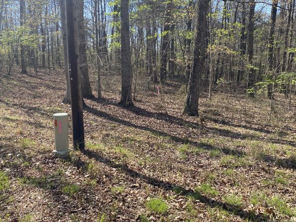 362 Haynes Rd, Sewanee, TN 37375