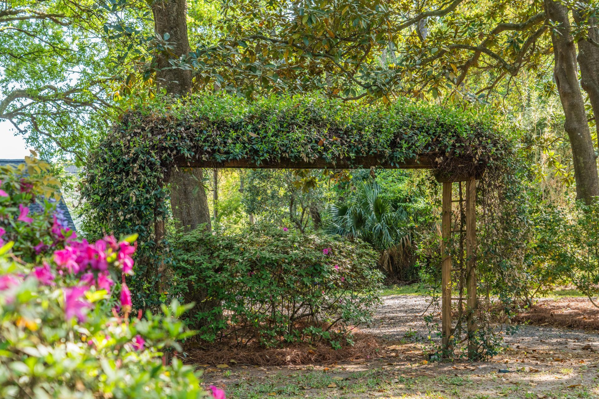 2227 Woodland Shores Road Photo 4