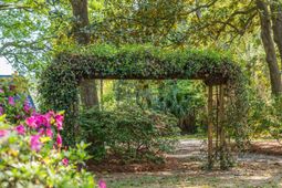 2227 Woodland Shores Road photo 4