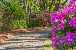 2227 Woodland Shores Road photo 4