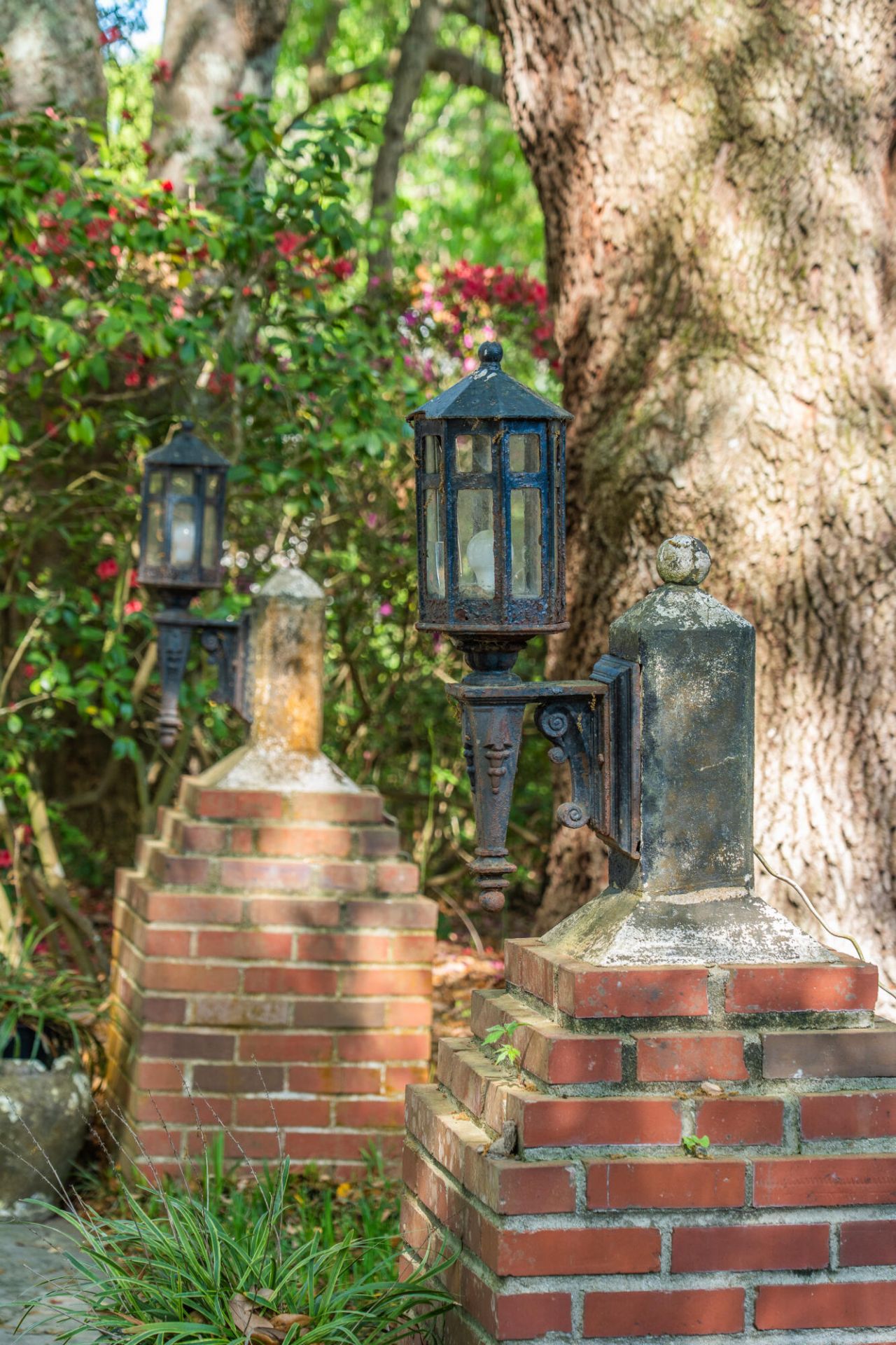 2227 Woodland Shores Road Photo 54