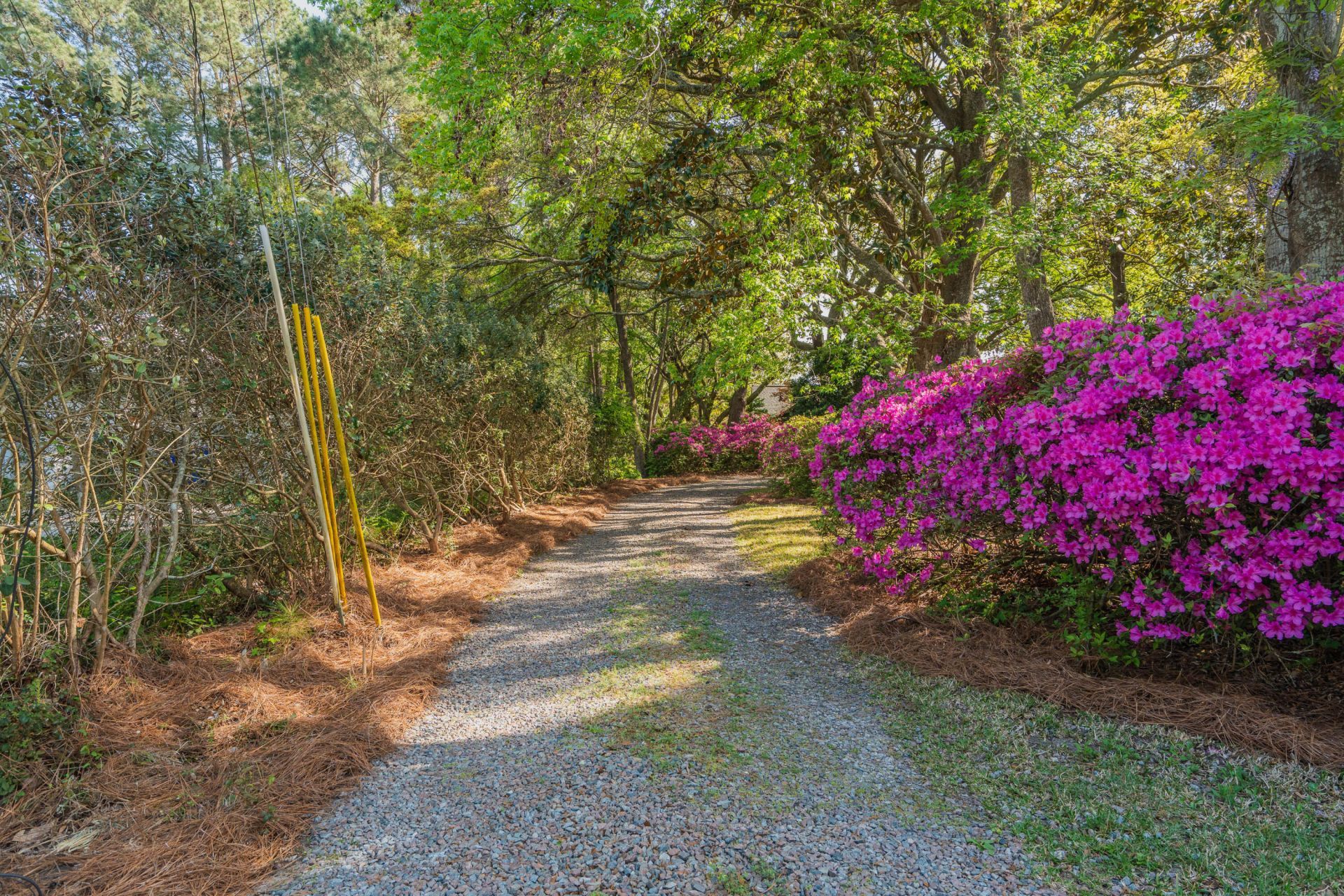 2227 Woodland Shores Road Photo 6