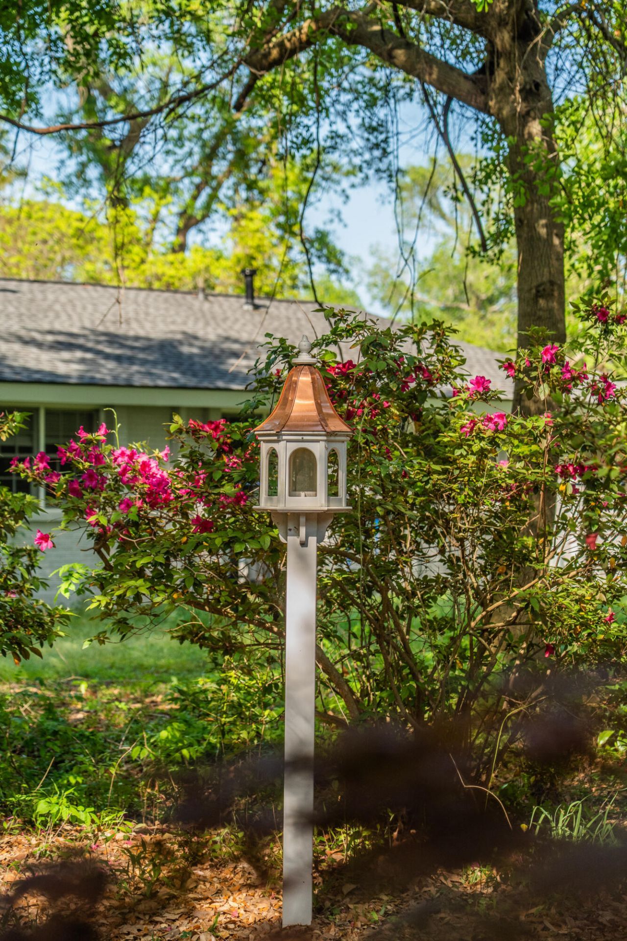 2227 Woodland Shores Road Photo 64