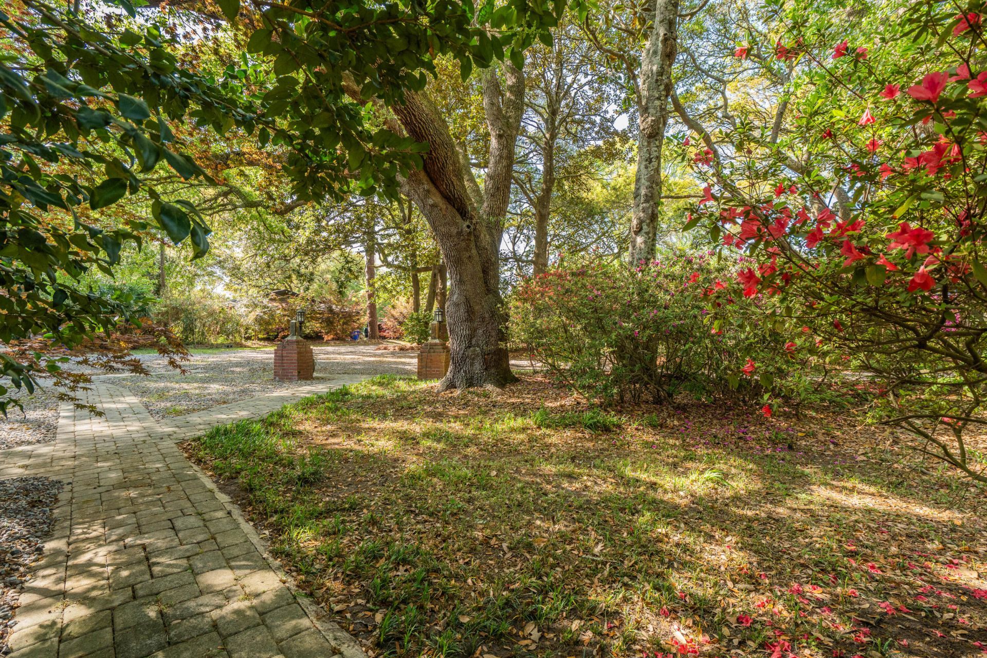 2227 Woodland Shores Road Photo 66