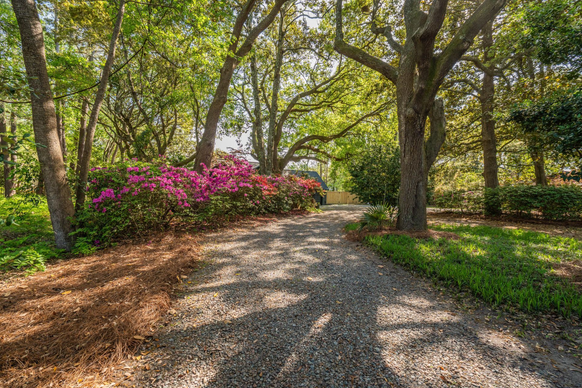 2227 Woodland Shores Road Photo 7