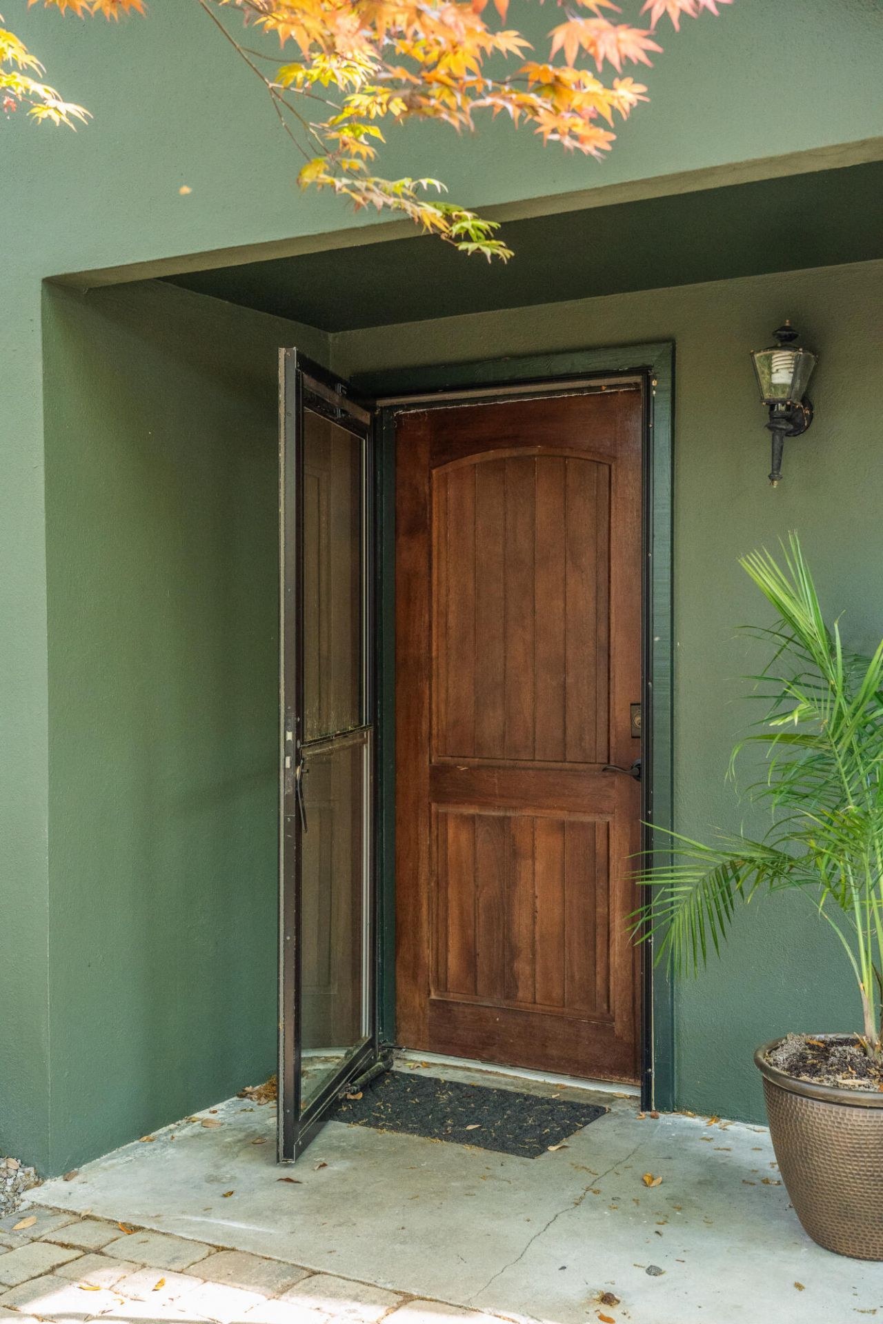 2227 Woodland Shores Road Photo 8