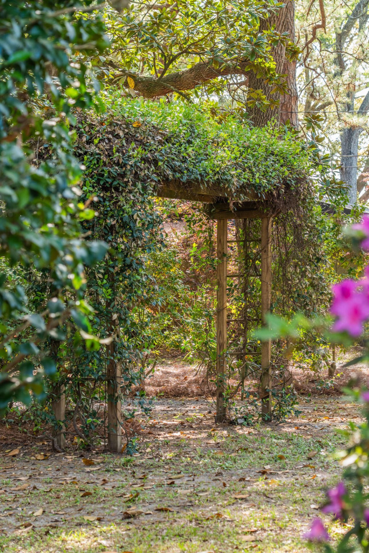 2227 Woodland Shores Road Photo 83