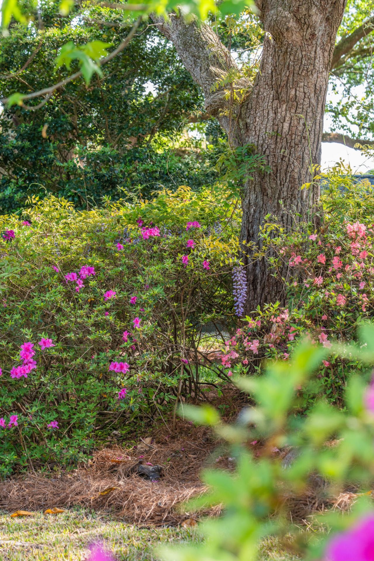 2227 Woodland Shores Road Photo 86