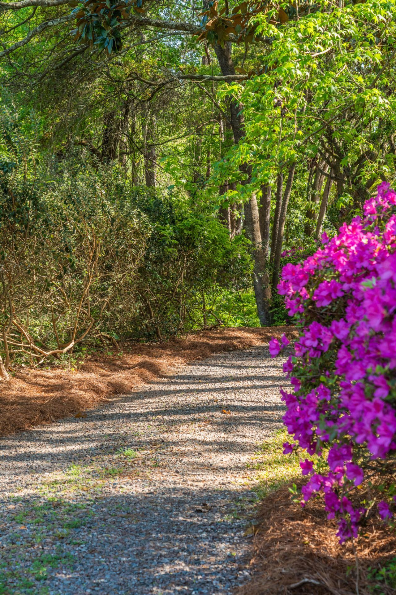 2227 Woodland Shores Road Photo 89