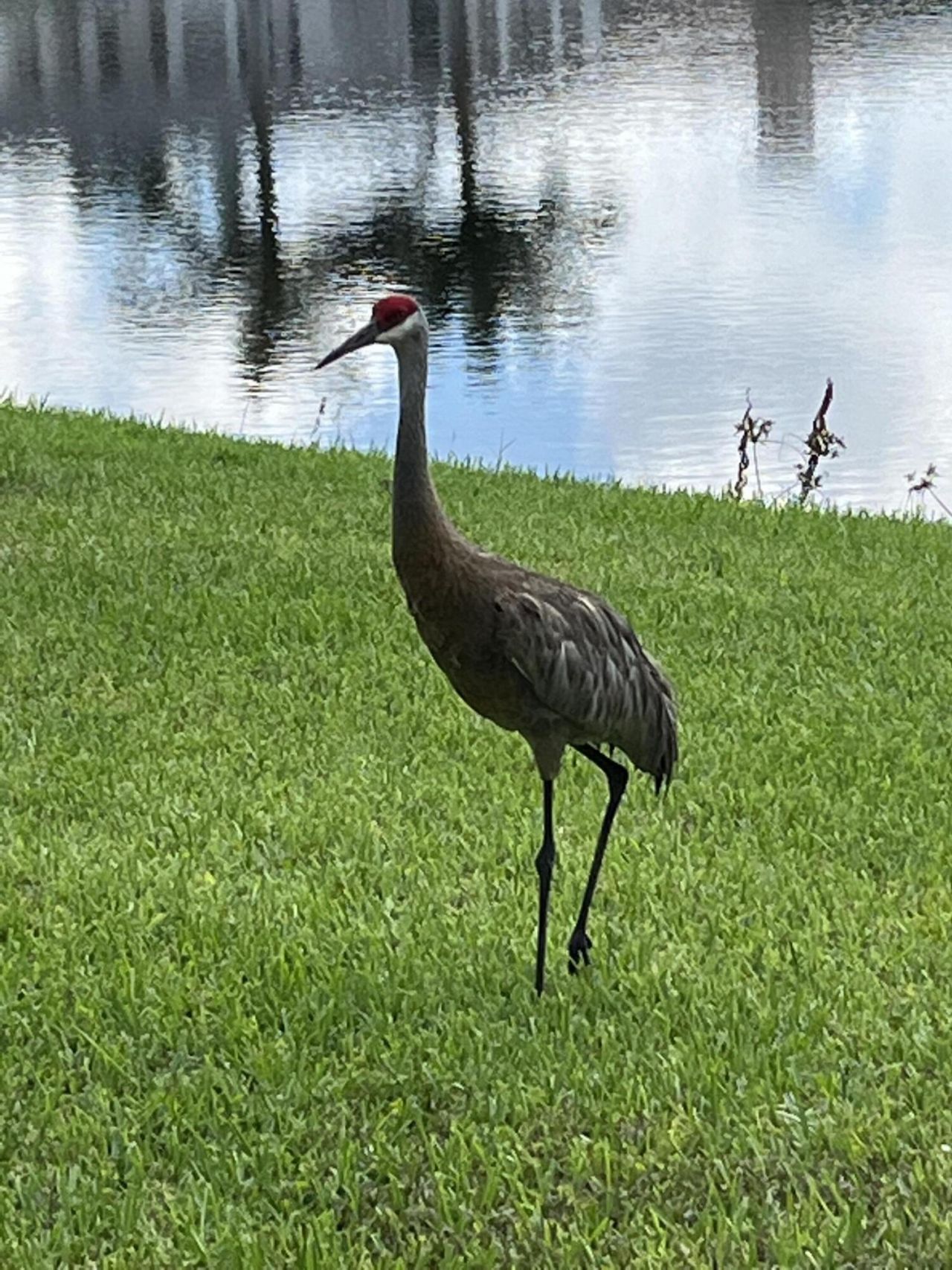 17921 Villa Club Way, Boca Raton, FL 33496 Photo