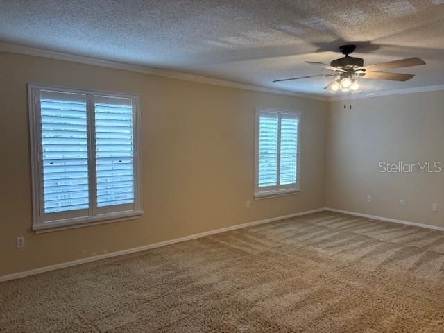 6314 Misty Terrace, Unit 6314, Temple Terrace, FL 33617 Photo