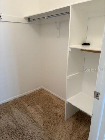 6314 Misty Terrace, Unit 6314, Temple Terrace, FL 33617 Photo