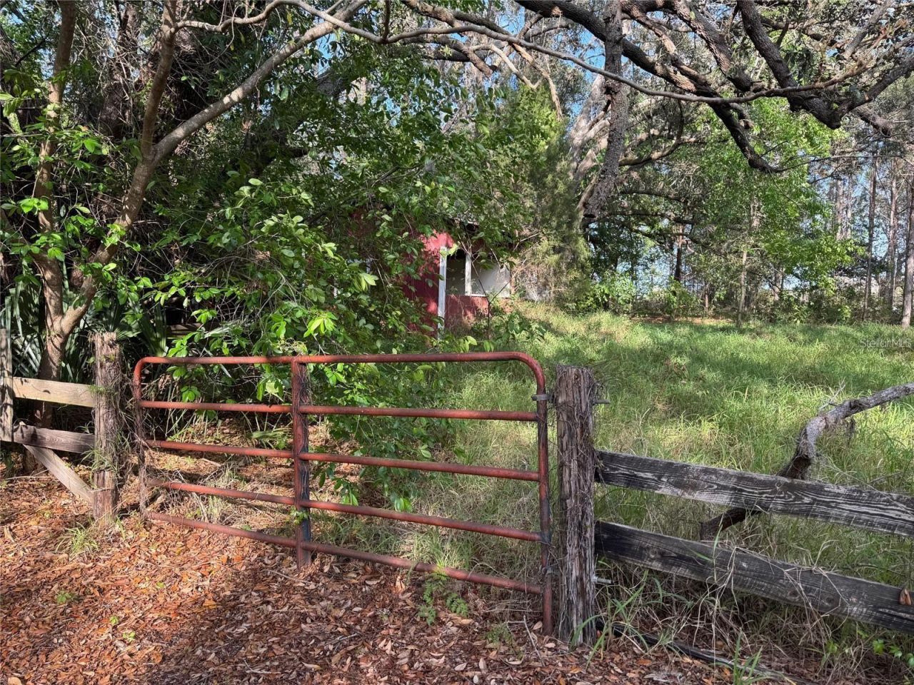 State Road 44, Eustis, FL 32726 Photo