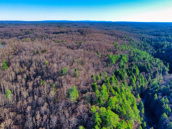 Tract 2 Ervin Brown Rd, Sunbright, TN 37872