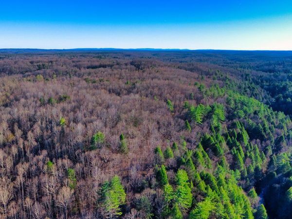 Tract 3 Ervin Brown Rd, Sunbright, TN 37872