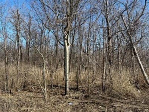 0 Wilson Avenue S, Lancaster, NY 14086