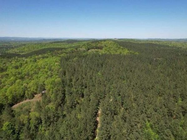 0 Colbaugh Hollow Road, Decatur, TN 37322