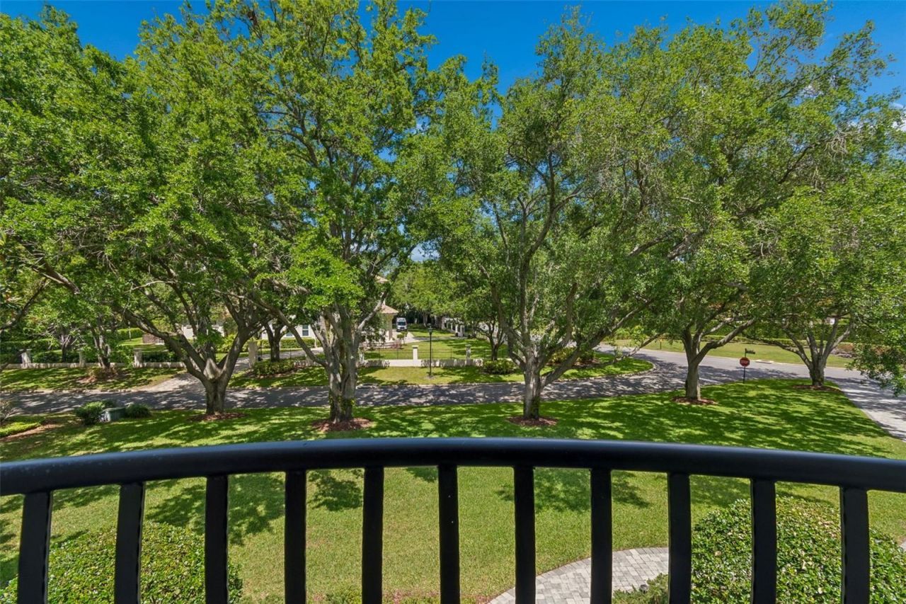 702 Berrocales De Avila, Tampa, FL 33613 Photo