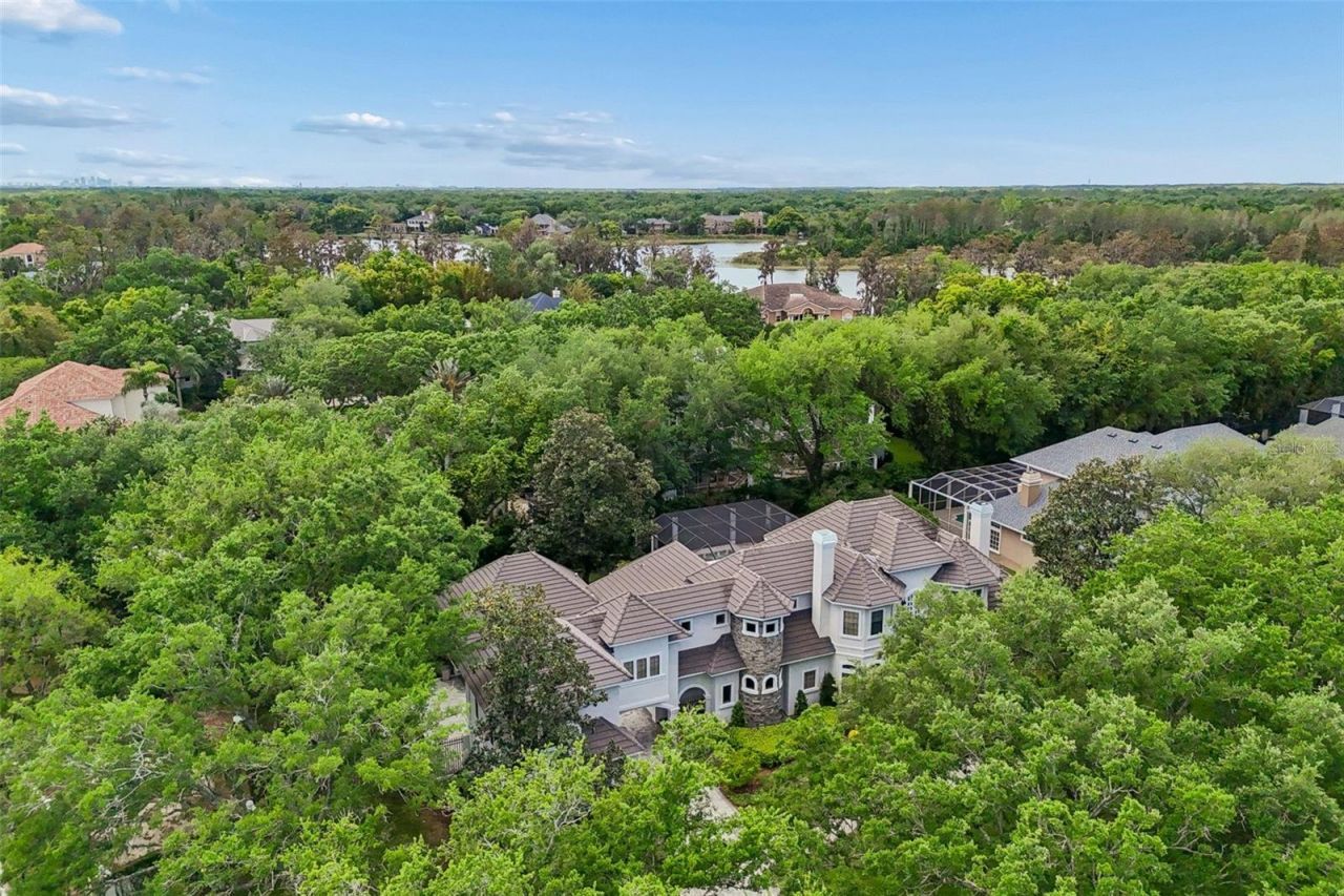 702 Berrocales De Avila, Tampa, FL 33613 Photo