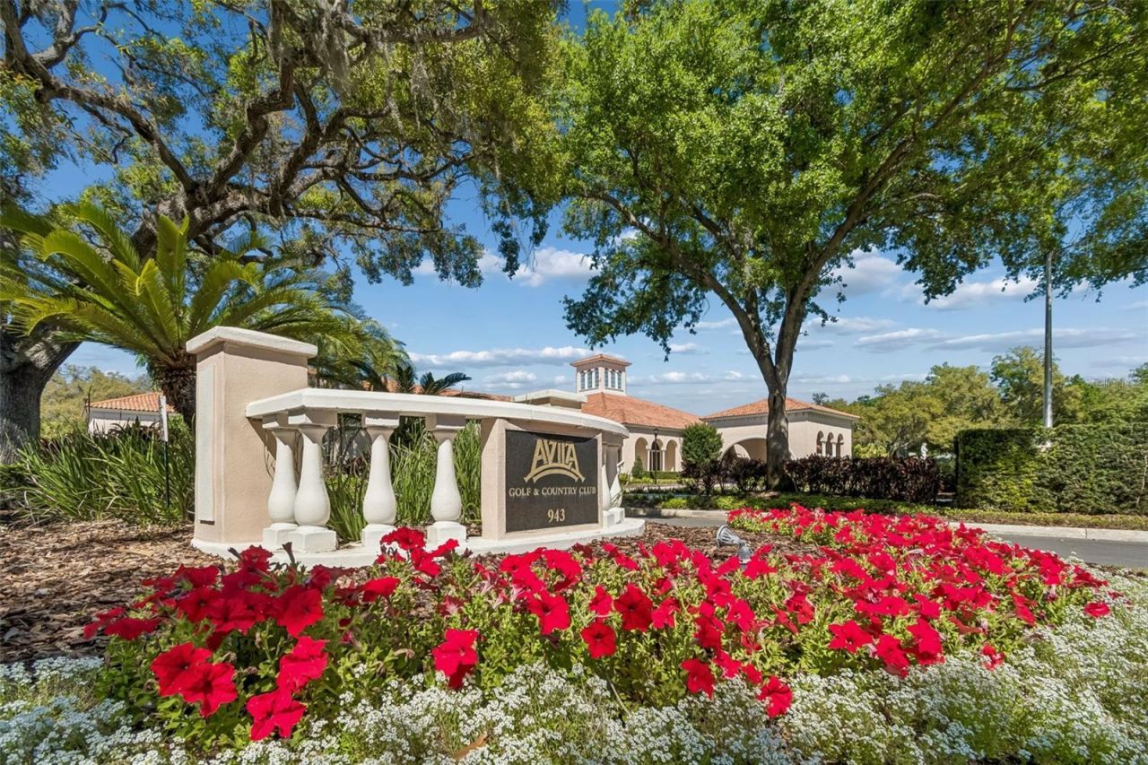 702 Berrocales De Avila, Tampa, FL 33613 Photo