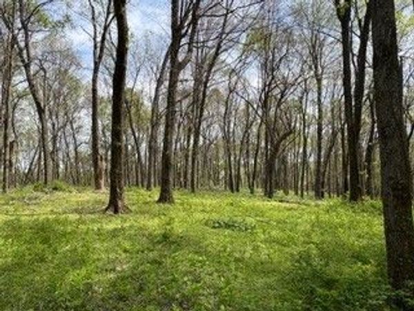 0 Center Star Road, Columbia, TN 38401