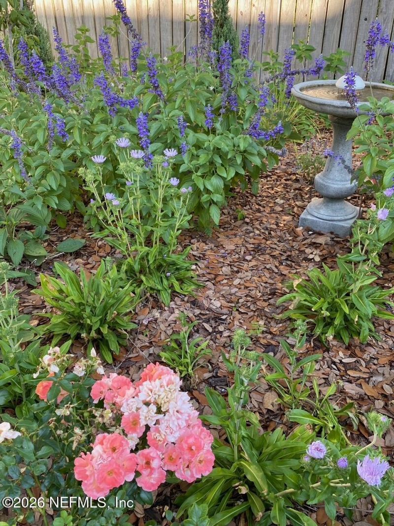 1418 Avondale Avenue, Jacksonville, FL 32205 Photo