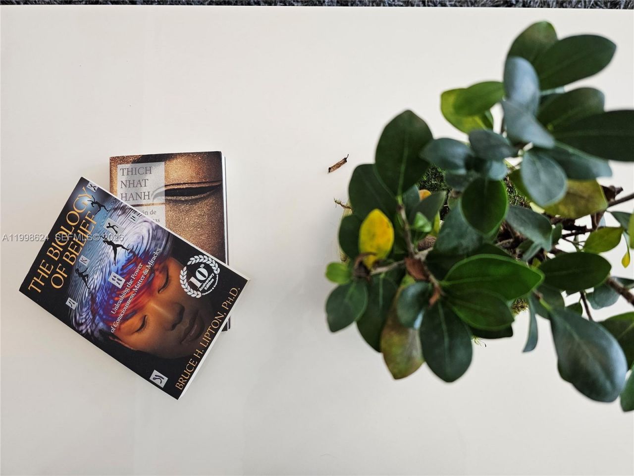 1000 Brickell Plz, Unit PH5503, Miami, FL 33131 Photo