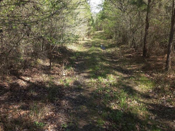 Murfreesboro, AR 71958