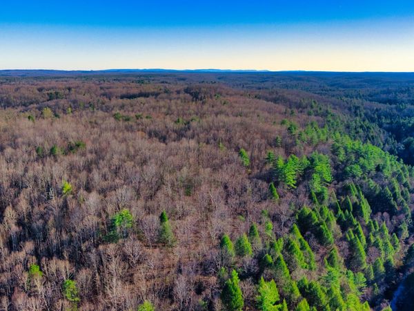 Tract 4 Ervin Brown Rd, Sunbright, TN 37872