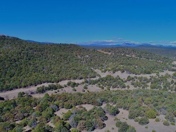 Lower Mines Rd, Walsenburg, CO 81089