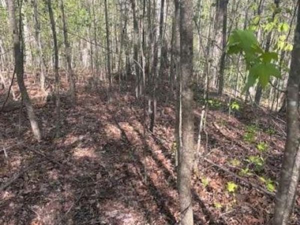 0 Heatherwood Way, Talking Rock, GA 30175