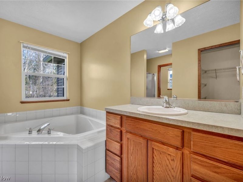 39896 Hope Court, Elyria, OH 44035 Photo 30