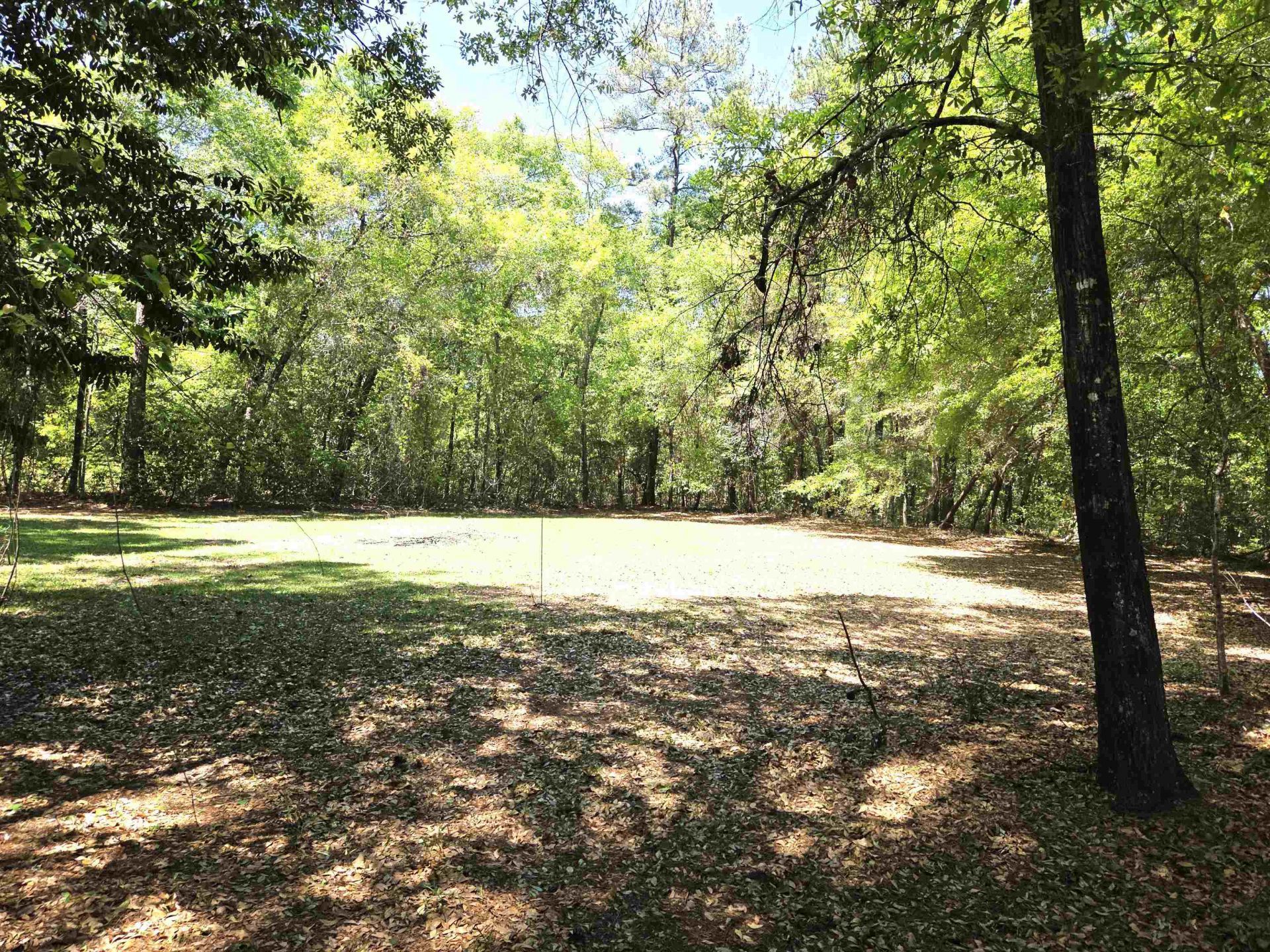 2344 Lakeview Point , Quincy, FL 32351 Photo