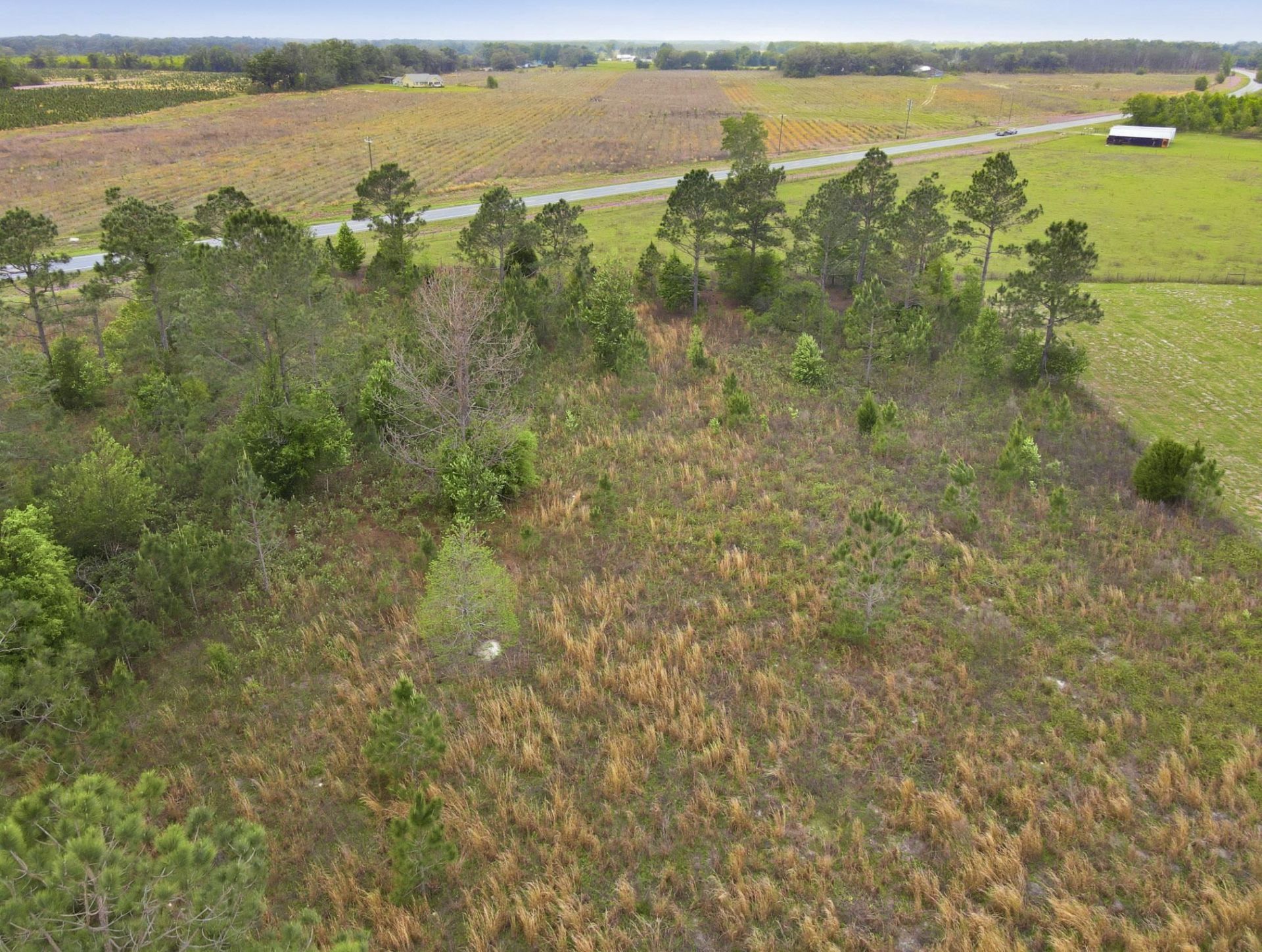 000 NE Rowan Road , Mayo, FL 32066 Photo