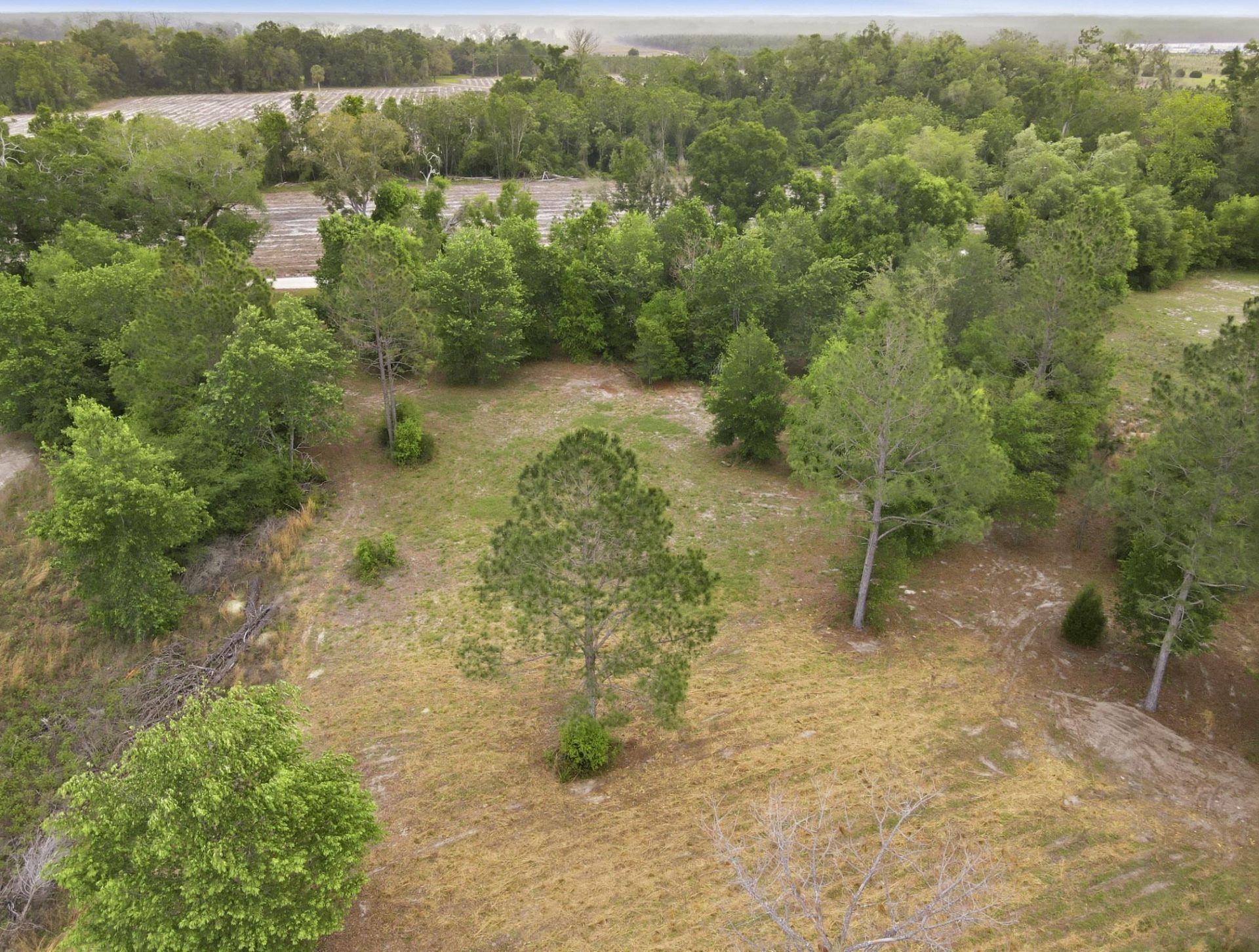 000 NE Rowan Road , Mayo, FL 32066 Photo