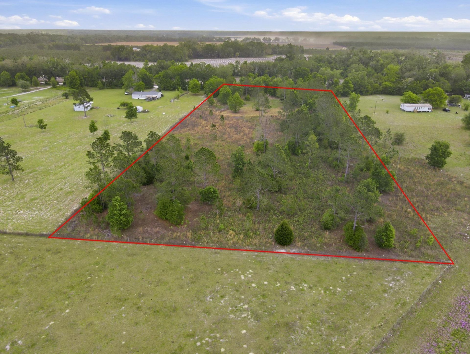 000 NE Rowan Road , Mayo, FL 32066 Photo