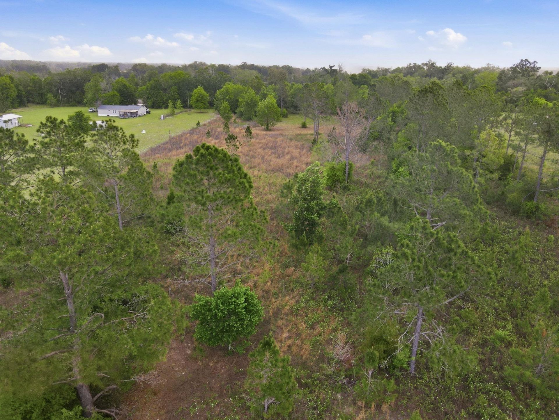 000 NE Rowan Road , Mayo, FL 32066 Photo