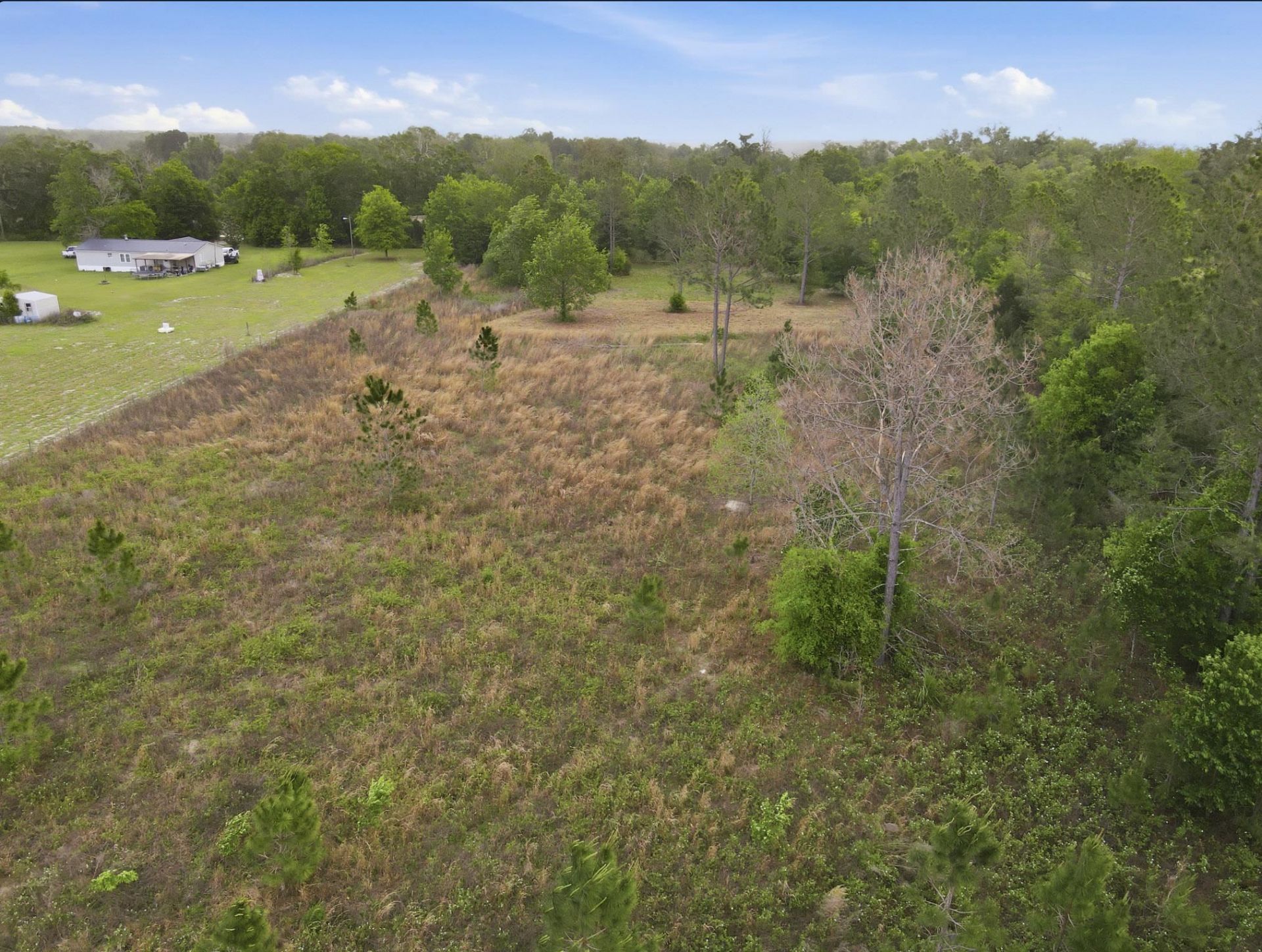 000 NE Rowan Road , Mayo, FL 32066 Photo