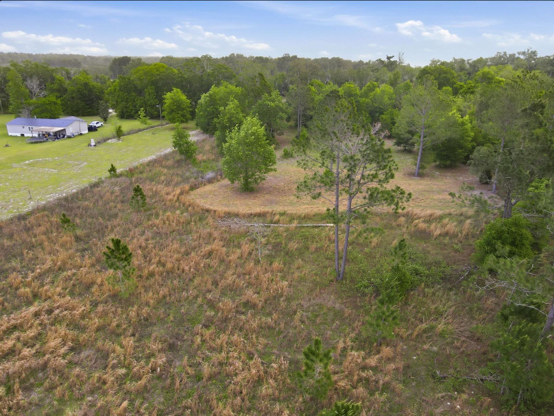 000 NE Rowan Road , Mayo, FL 32066 Photo