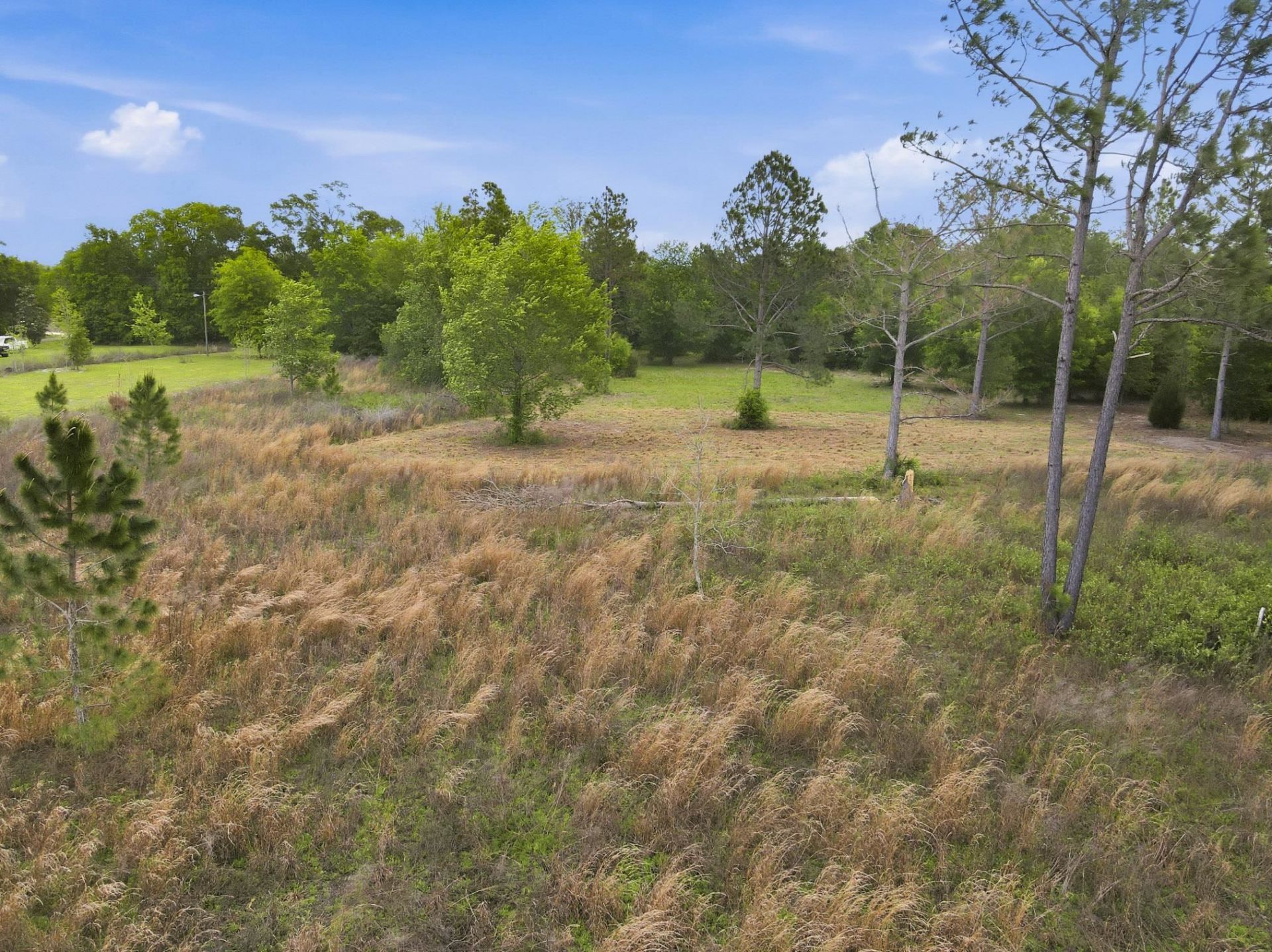 000 NE Rowan Road , Mayo, FL 32066 Photo